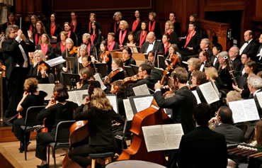 Photo courtesy D. Maccaferri