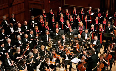 Photo courtesy D. Maccaferri